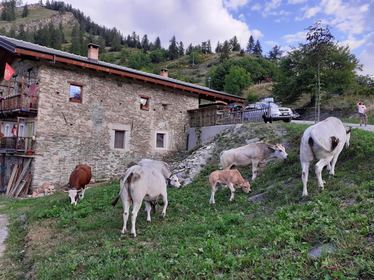 Canosio Agri-B&B Lou Col المظهر الخارجي الصورة