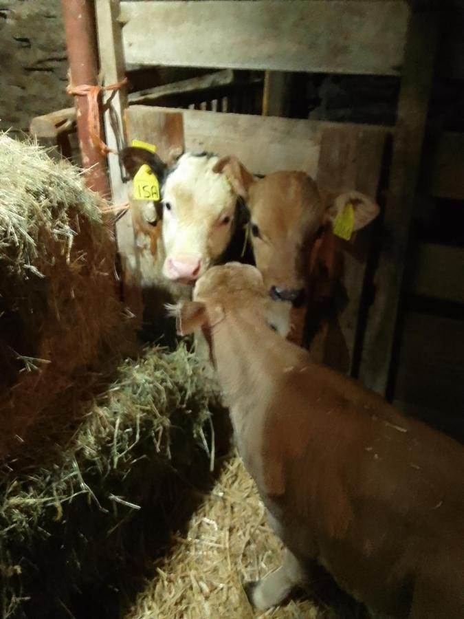 Canosio Agri-B&B Lou Col المظهر الخارجي الصورة