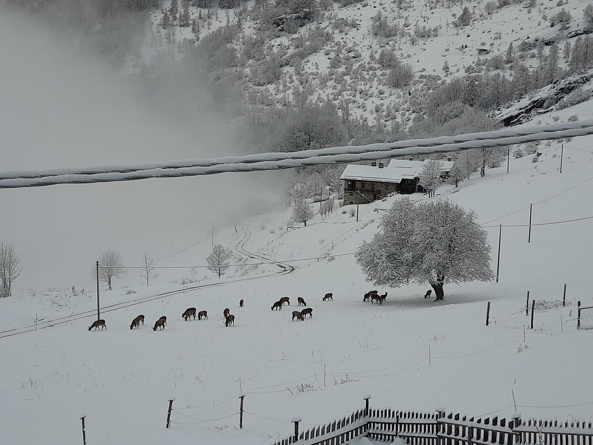 Canosio Agri-B&B Lou Col المظهر الخارجي الصورة